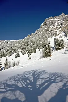 Bern: Griesalp and Steineberg in deep snow in