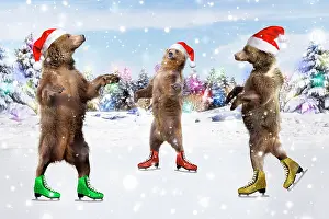 Falling: Grizzly Bear