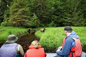 Photographing: Grizzly Bear - at water's edge being watched by