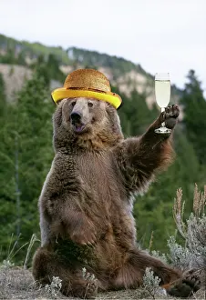 Congratulations: GRIZZLY BEAR wearing gold bowler hat holding