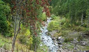 Vomp: Grosse Ahornboden in the Eng valley in Karwendel