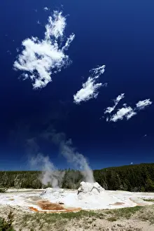 Grotto: Grotto Geyser Upper Geyser Basin, Yellowstone National