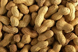 Peanuts: Groundnuts / Peanuts