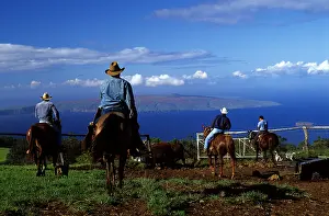 Islets: Group of cowboys riding in a ranch Maui Island Hawaii
