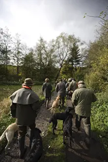 Hunted: Group of hunters with their labradors during hunt time