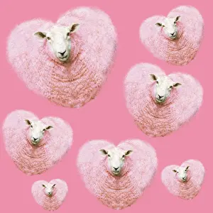 150822: Group of pink heart-shaped sheep background illustration