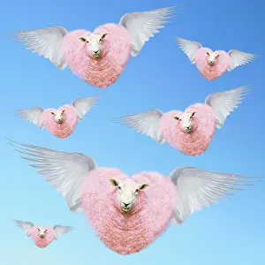 Angels: Group of pink heart-shaped sheep flying with wings