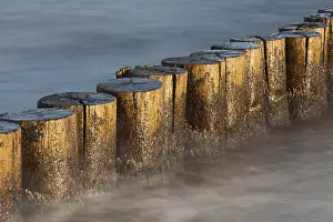 Groyne: Groyne at the beach - Baltic sea - Mecklenburg-Western