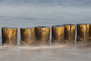 Groyne: Groyne at the beach - Baltic sea - Mecklenburg-Western