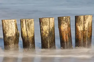 Groyne: Groyne at the beach - Baltic sea - Mecklenburg-Western