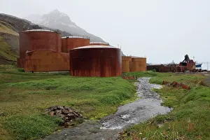 Whaling: Grytviken - whaling station