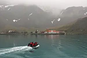Whaling: Grytviken - whaling station