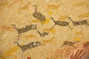 Hands: Guanaco