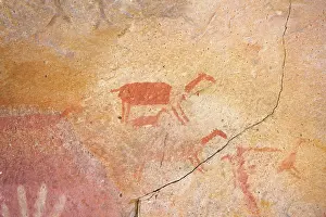 Hands: Guanaco