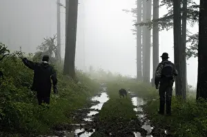 Quest: Guard and dog looking for a Woodcock Switzerland