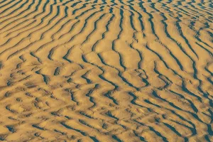 Wilson: Guerrero Negro, Mulege, Baja California Sur, Mexico
