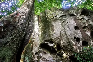 Guianan: Guianan Cock-of-the-rock habitat. Granite rocks