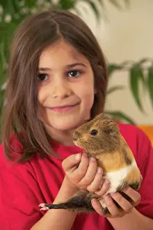 Choosing: Guinea Pig - being held by girl