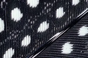 Rings: GUINEAFOWL - feather in close-up