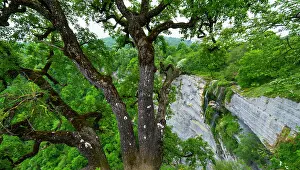 Alava: Gujuli waterfall, Gorbeia Natural Park, Alava, Basque