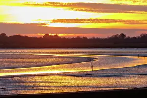 Vase: Gulf of Morbihan, Marais du Duer at sunset