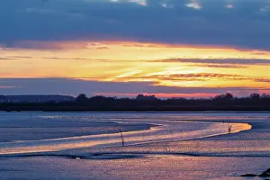 Vase: Gulf of Morbihan, Marais du Duer at sunset