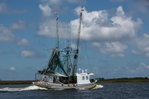 Fisheries: Gulf Shrimp Boat