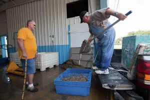Fishermen: Gulf Shrimp Harvest