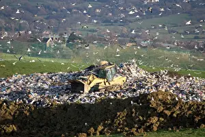 Tractors: Gulls at landfill site