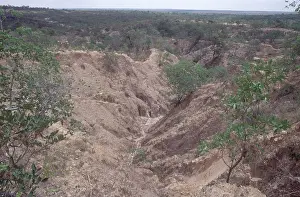 Gully: Gully Erosion