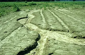 Heavy: Gully Erosion of Field