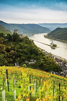 Palatinate: Gutenfels Castle and Pfalzgrafenstein Castle, Kaub