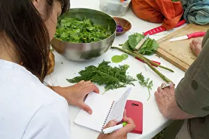 Preparation: Guy Laliere, naturopath botanist