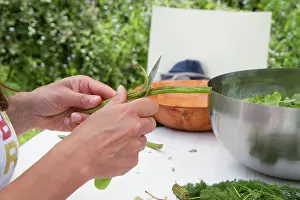 Salad: Guy Laliere, naturopath botanist