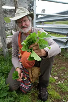 Cantal: Guy Laliere, naturopath botanist
Good-king-Henry