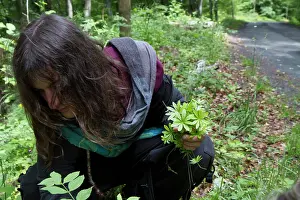 Cantal: Guy Laliere, naturopath botanist
The fragrant