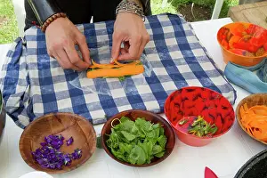 Sorrel: Guy Laliere, naturopath botanistLinden
Leaves