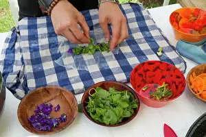 Sorrel: Guy Laliere, naturopath botanistLinden
Leaves