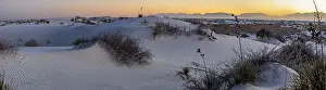 Journey: Gypsum dunefields at White Sands National Monument located within the Chihuahuan Desert