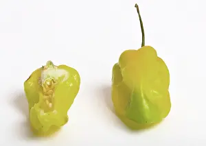 Peppers: Habanero Chili Pepper
