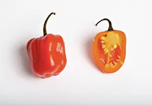 Peppers: Habanero Chili Pepper