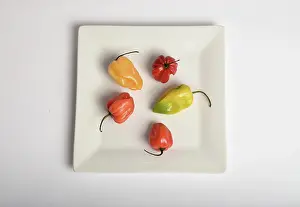 Peppers: Habanero Chili Pepper