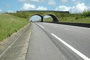 Motorways: Habitat Green Bridge on French autoroute (south