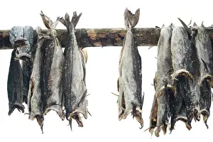 Stockfish: Haddock