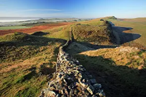 Steel: Hadrian's Wall - autumn morning atmosphere beside