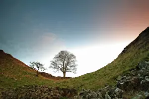 Steel: Hadrian's Wall - Sycamore Gap, beside Steel Rig