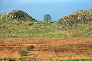 Steel: Hadrian's Wall - Sycamore Gap, beside Steel Rig