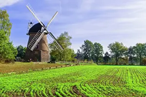 Heathland: Mill in Hagenow Heide, Mecklenburg-Western Pomerania