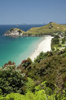 Coromandel: Hahei, Coromandel Peninsula, North Island