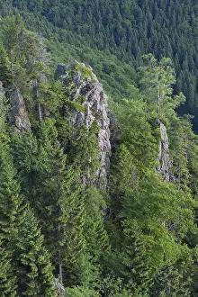 171017: Hahnenkleeklippe / Cliff Hahnenklee - Harz National